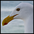 :iconc-wilkes: