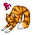 :iconc-yang: