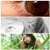 :iconca-psyco: