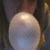:iconcaa4evr320: