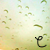 :iconcaamw: