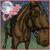 :iconcaballo1: