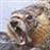 :iconcabbageman: