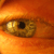 :iconcaboose-of-140-pages: