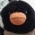 cachaeq :iconcachaeq: