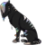 :iconcachounox: