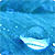 :iconcacoePhoto: