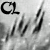 :iconcactuslightning: