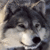 :iconcadair: