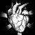 :iconcadaverperception: