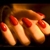 :iconcadavre5exquis: