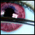 :iconcadence-and-flow: