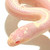 :iconcado22: