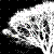 :iconcadybean: