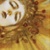 :iconCaedrus: