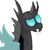 :iconcagc360: