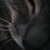 :iconcaileann2414: