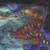 :iconcaineclusterlps7902: