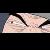 :iconcaiowr: