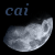 :iconcaiphp: