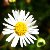 :iconcaitie-arthe: