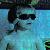 :iconcaitward: