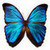 :iconcaitycat05: