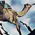 :iconcaius-iulius: