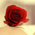 :iconcakelovesyou: