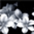 :iconcakendonut: