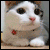 :iconcalamitycorp: