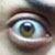 :iconcalamocurrente: