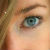 :iconcalandra-09:
