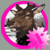 :iconcalculating-inf: