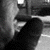 :iconcaleb-marshall: