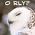 :iconcaledonia1986: