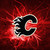 :iconcalgaryflamesgirl: