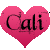 :iconcali-24: