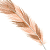 :iconcalico-feathers: