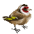 :iconcalicodragon: