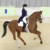 :iconcaliequestrian: