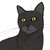 :iconcalimeranne: