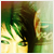 :iconcalirock88: