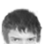 :iconcalizzi: