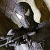 :iconcalledthebeast:
