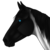 :iconcallibird: