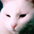 :iconcallico: