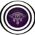 :iconcalliesjet: