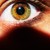 :iconcalliesta11: