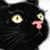 :iconcallilf: